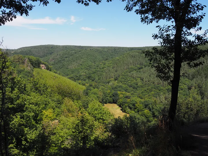 Ninglinspo (België)